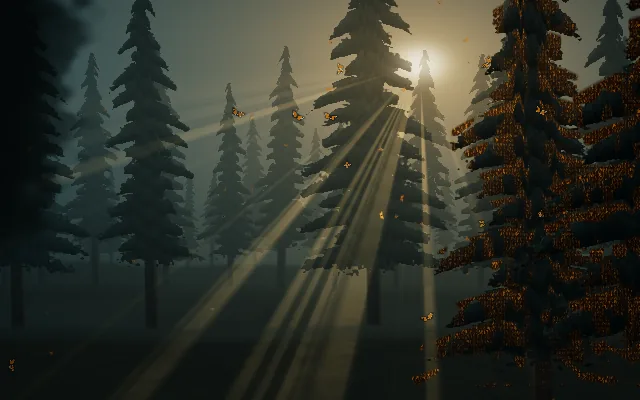 Monarch butterflies background: a fir forest at golden hour with firs covered in butterflies